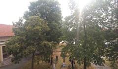 Absolventi svobodných škol umí diskutovat