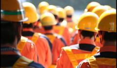 What labour experiences and common struggles migrant and local workers share across European countries? Recommendations for policymakers and practitioners